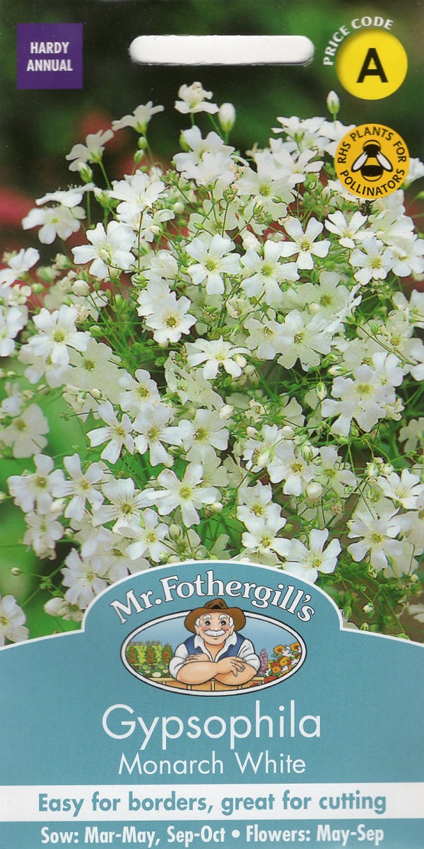 種子】Mr.Fothergill's Seeds Gypsophila Monarch White ジプソフィラ
