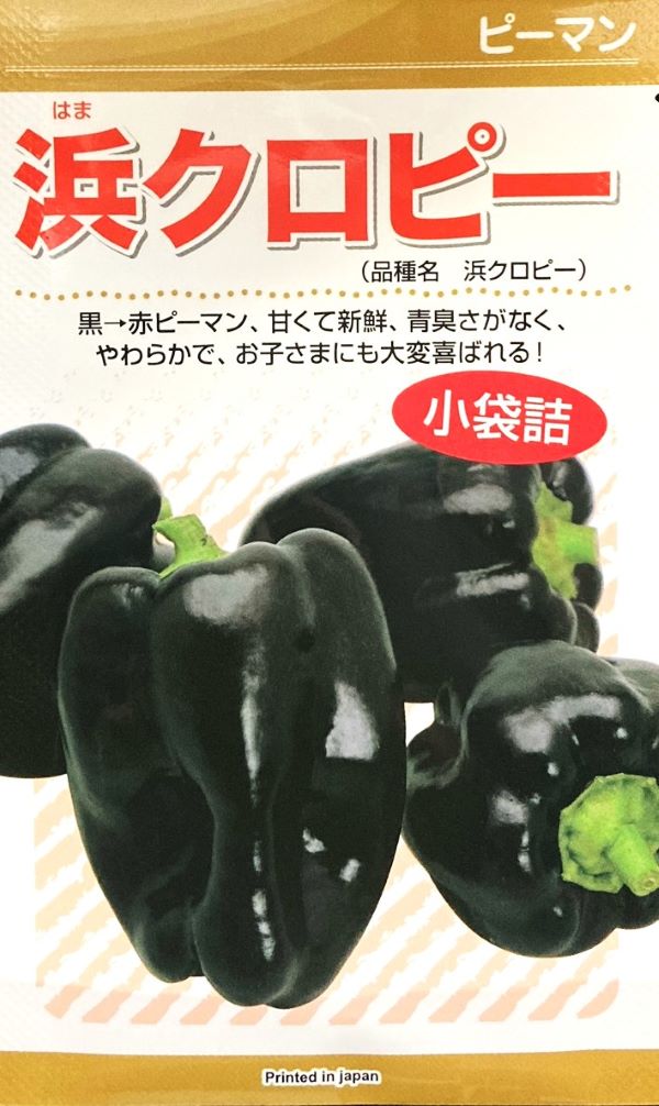 ピーマン 浜クロピー