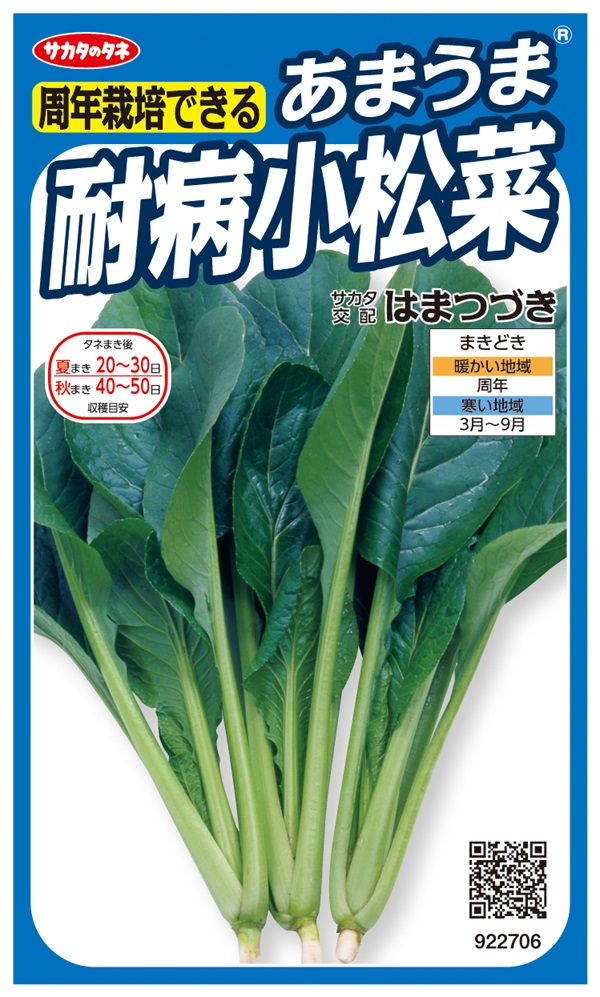 耐病小松菜
