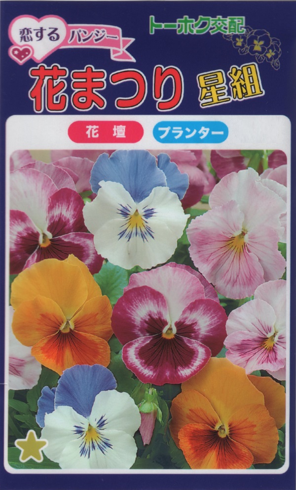 種子】 恋するパンジー 花まつり（星組） トーホクのタネ