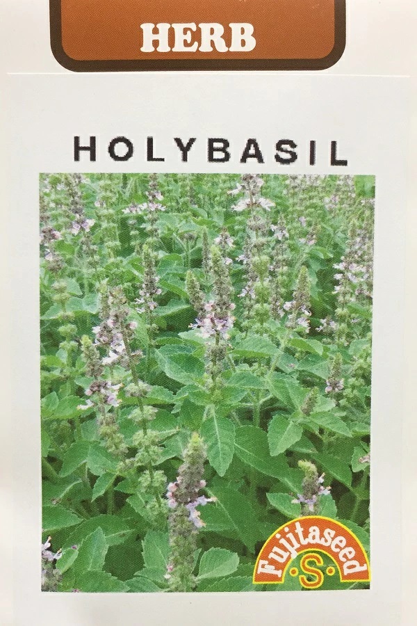 ホーリーバジル