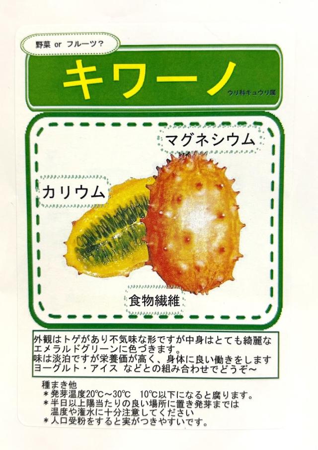 キワーノメロン1