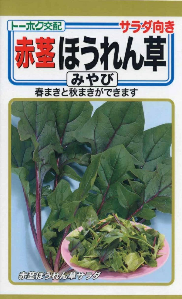 種子】 サラダ向き 赤茎ほうれん草 みやび トーホクのタネ