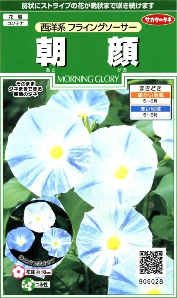 朝顔　フライングソーサー