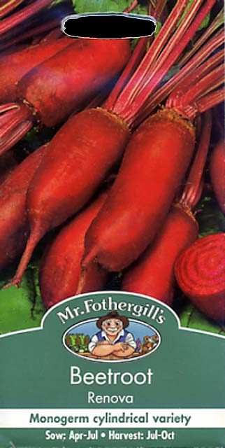 ビートルート レノヴァ