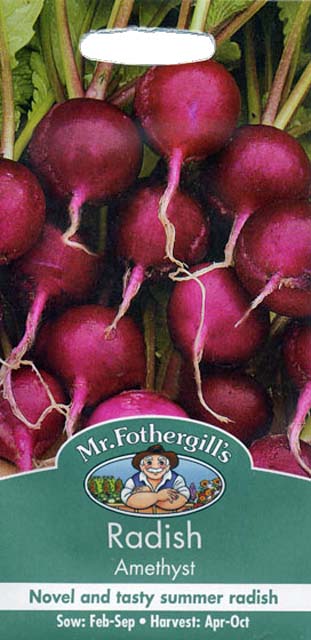 ラディッシュ アメジスト