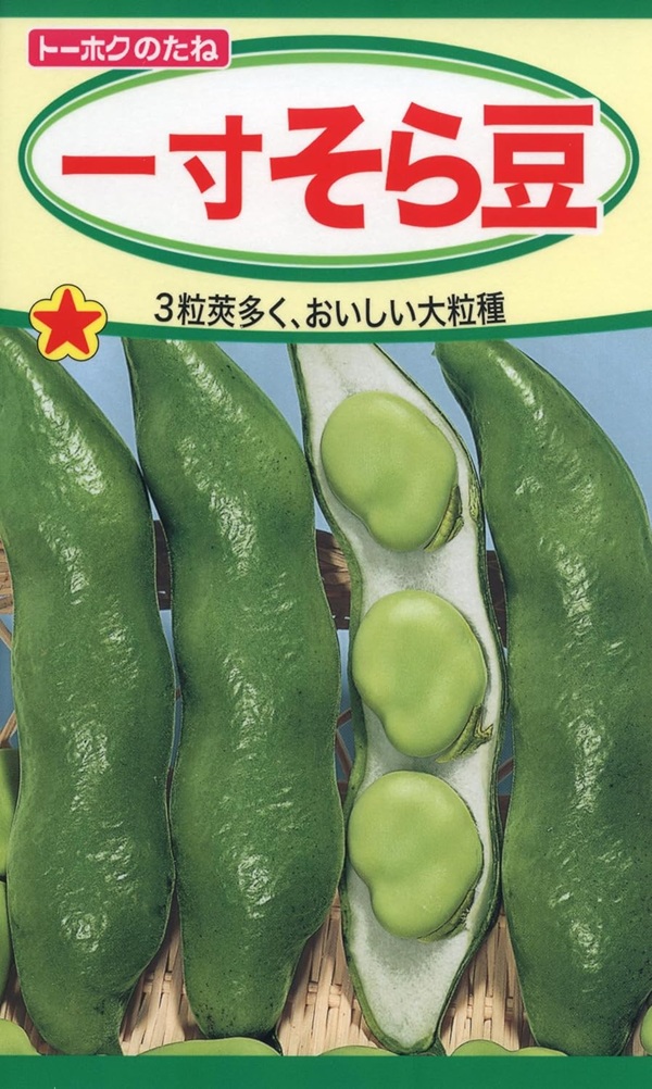 一寸そら豆