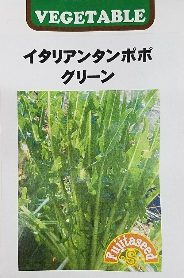 イタリアンタンポポ　グリーン