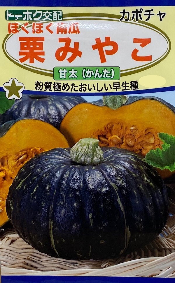 野菜種子 カボチャ 栗みやこ 甘太(かんた) トーホクのタネ