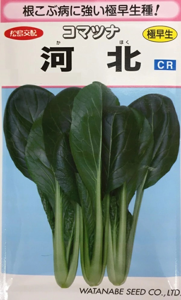 コマツナ河北