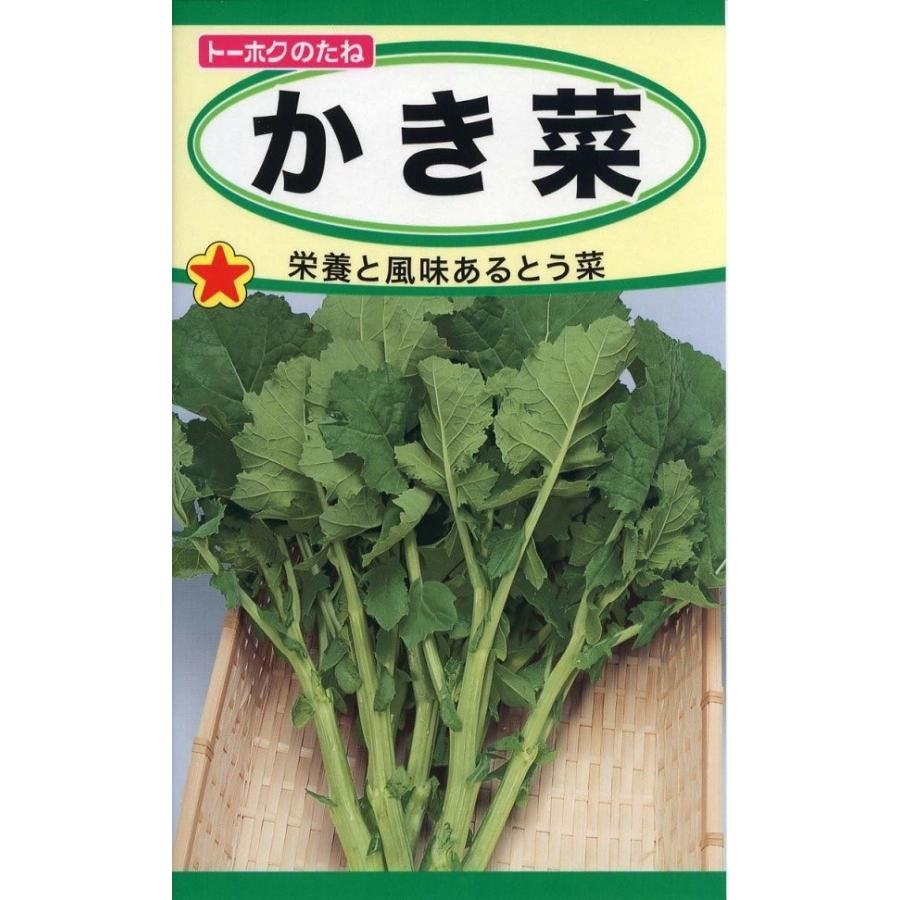 トーホクかき菜