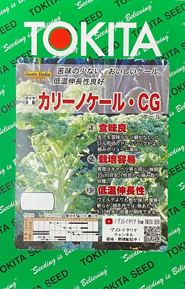 カリーノケール・CG