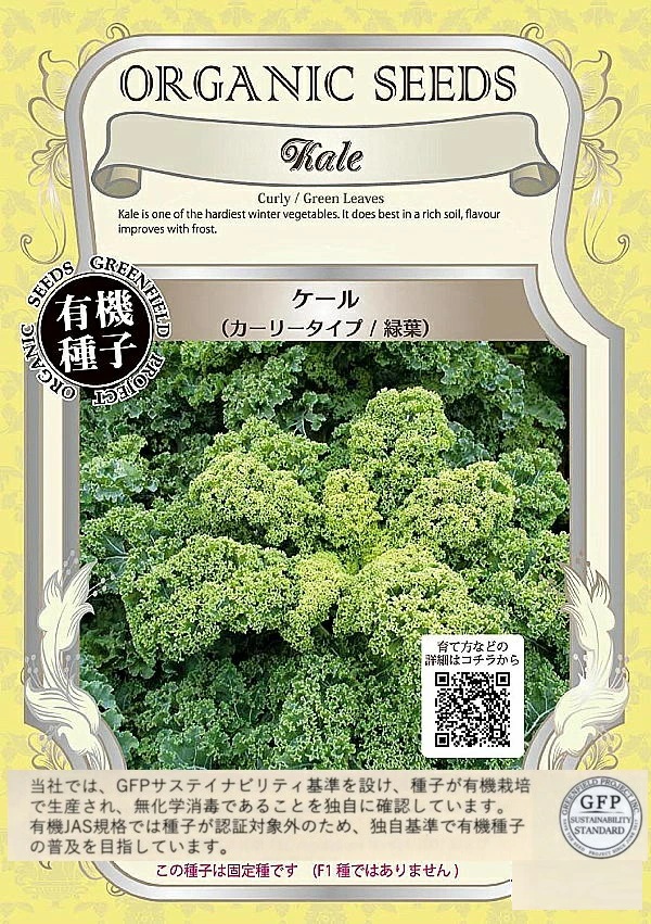 ケール　カーリータイプ/緑葉