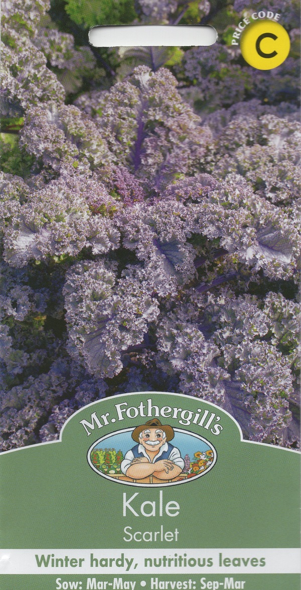 【種子】 Mr.Fothergill's Seeds Kale Scarlet ケール スカーレット