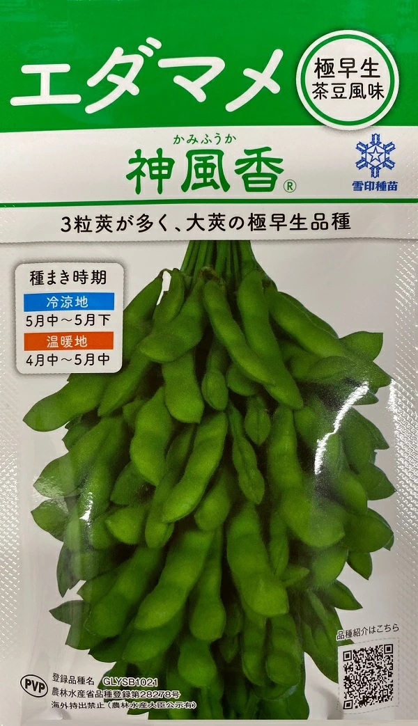 エダマメ　神風香30l