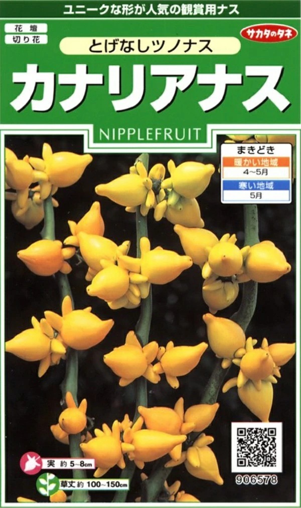カナリアナス