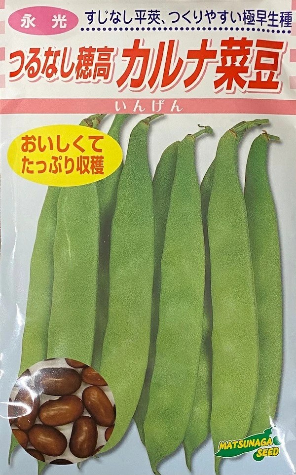 カルナ菜豆