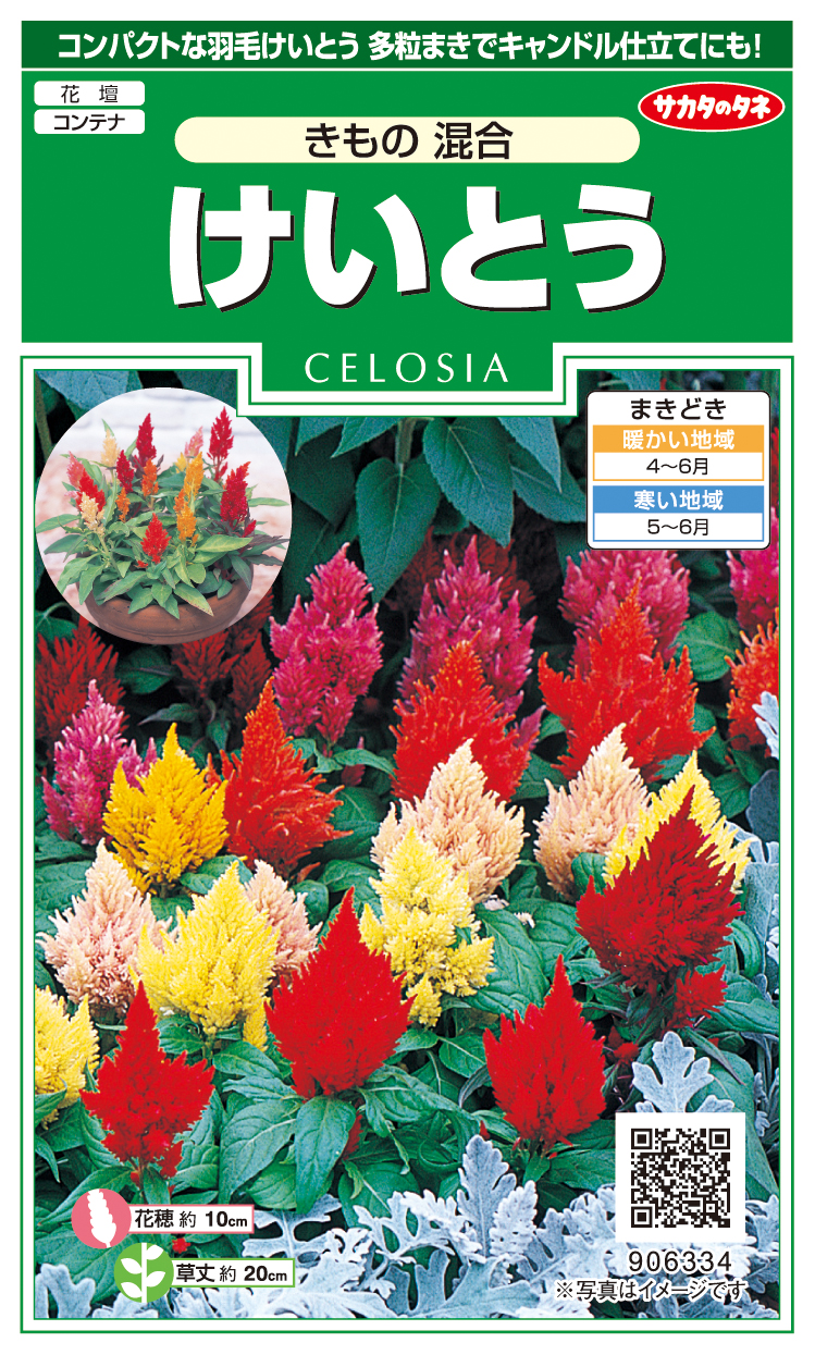 けいとうきもの混合