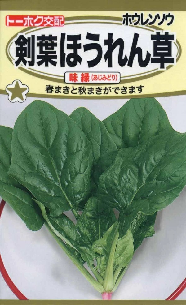 剣葉ほうれん草　味緑（あじみどり）