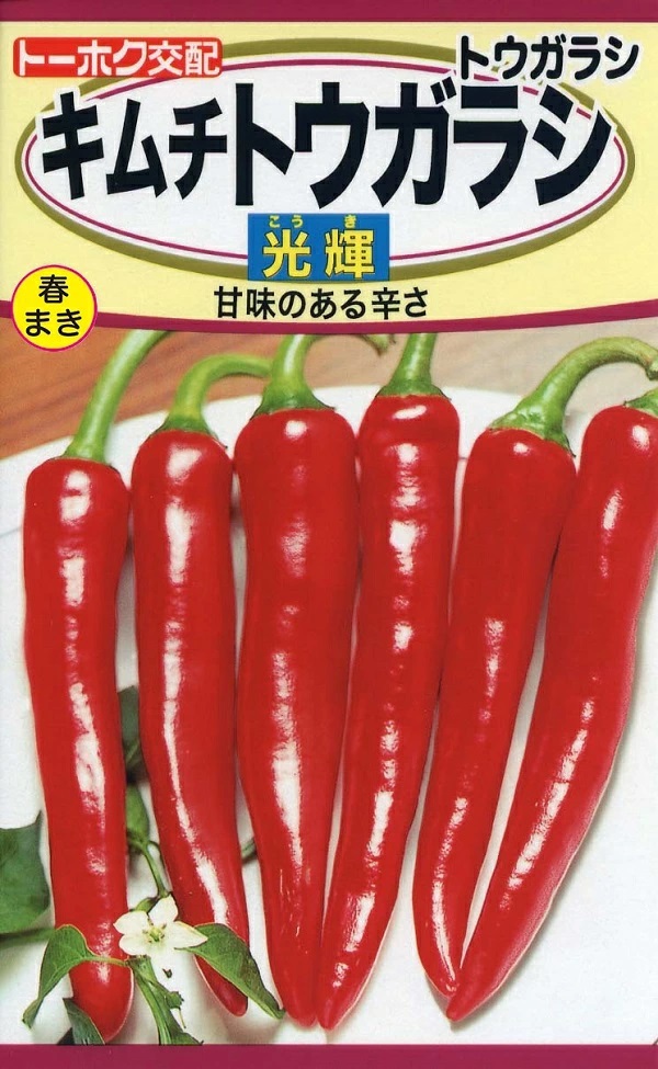 キムチトウガラシ 光輝（こうき）