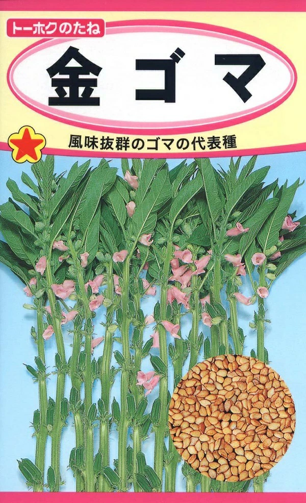金ごま