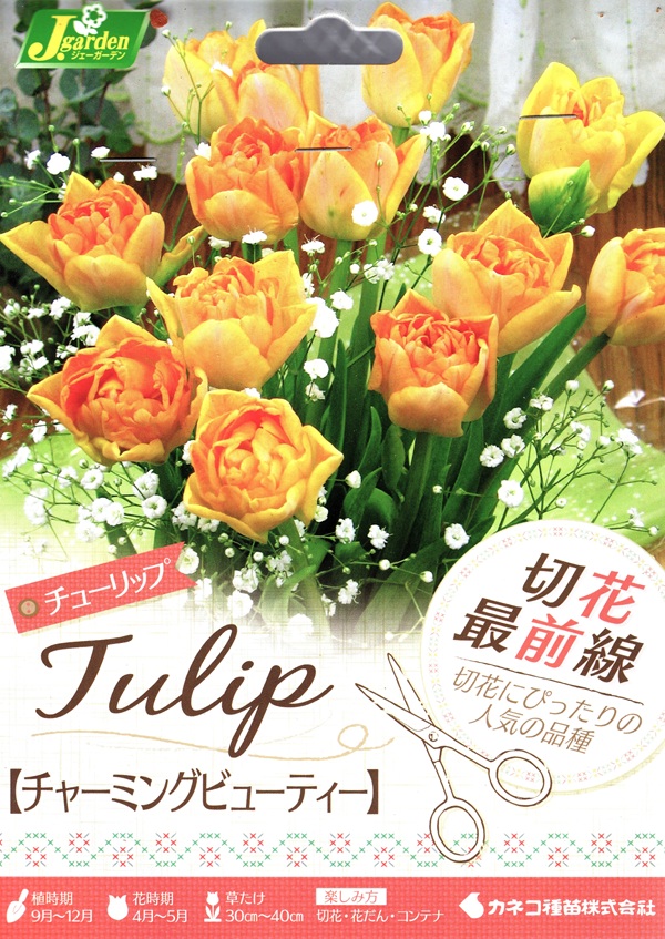 切花最前線 チャーミングビューティー