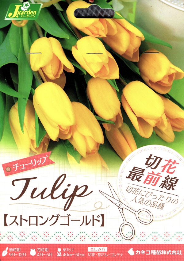 切花最前線 ストロングゴールド