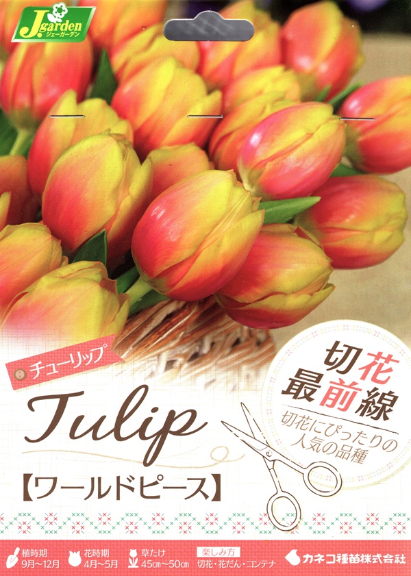 切花最前線 ワールドピース