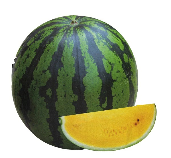 西瓜（スイカ） こがねスペシャル