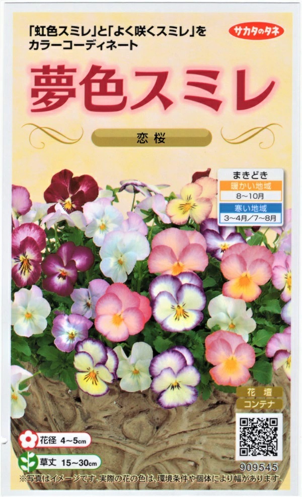 夢色スミレ　恋桜