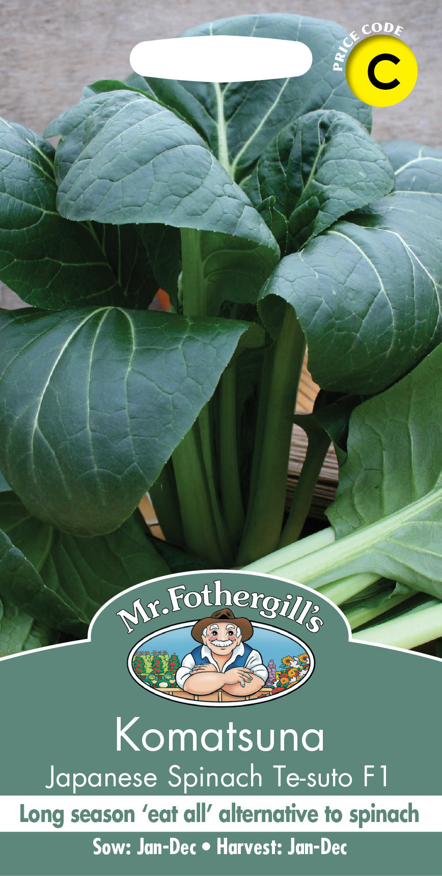 komatsuna_te_suto_f1