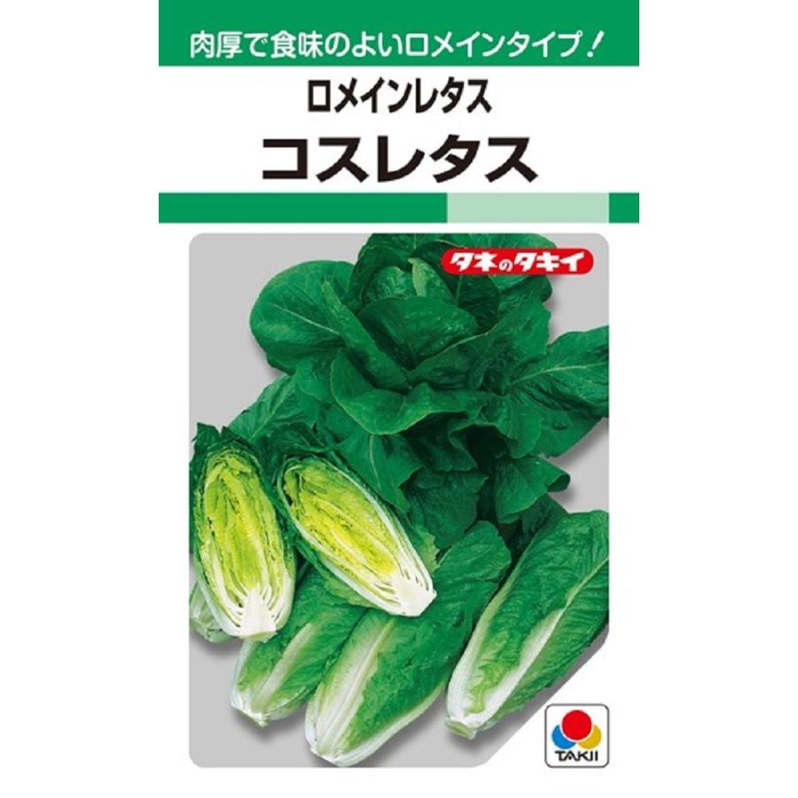 ロメインレタスコスレタス