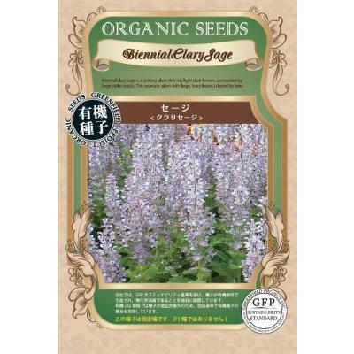 セージ（クラリーセージ）グリーンフィールド