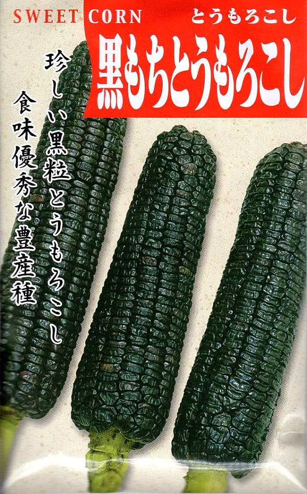 黒もちとうもろこし