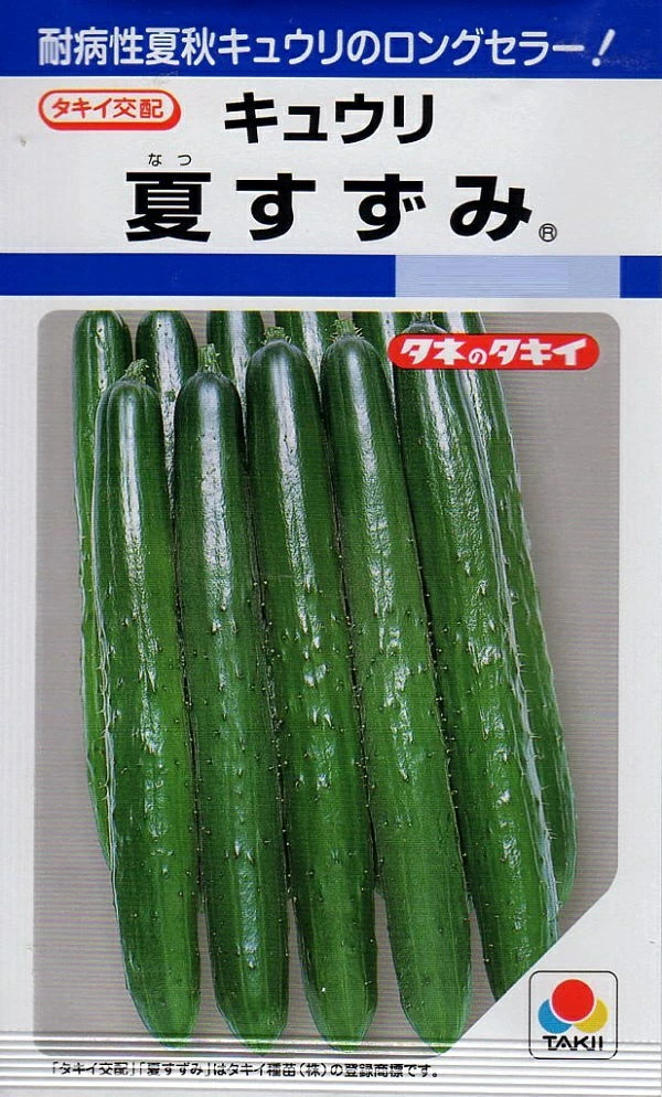 キュウリ夏すずみ