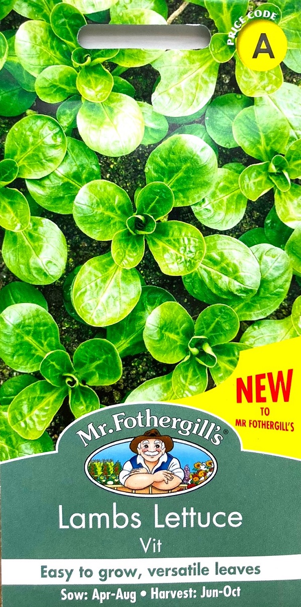 Lambs Lettuce Vit ラムズレタス ヴィット