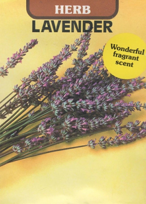 ラベンダー　トルー