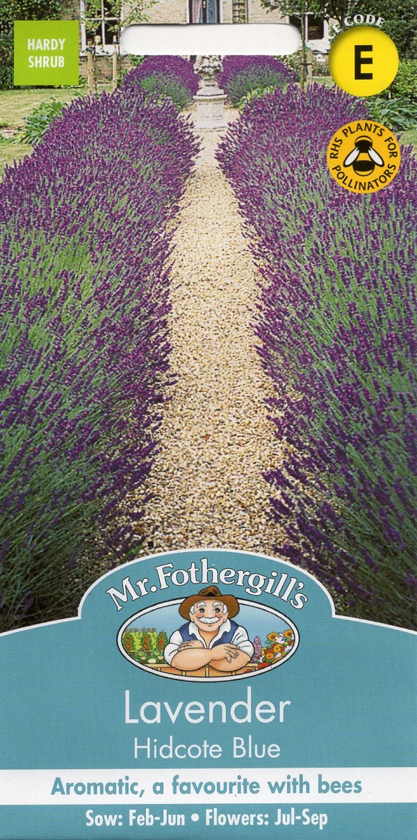 Lavender Hidcote Blue