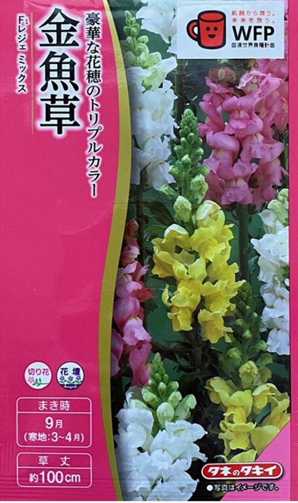 金魚草 レジェミックス