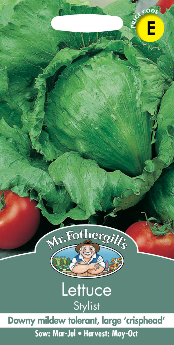 レタス スタイリスト