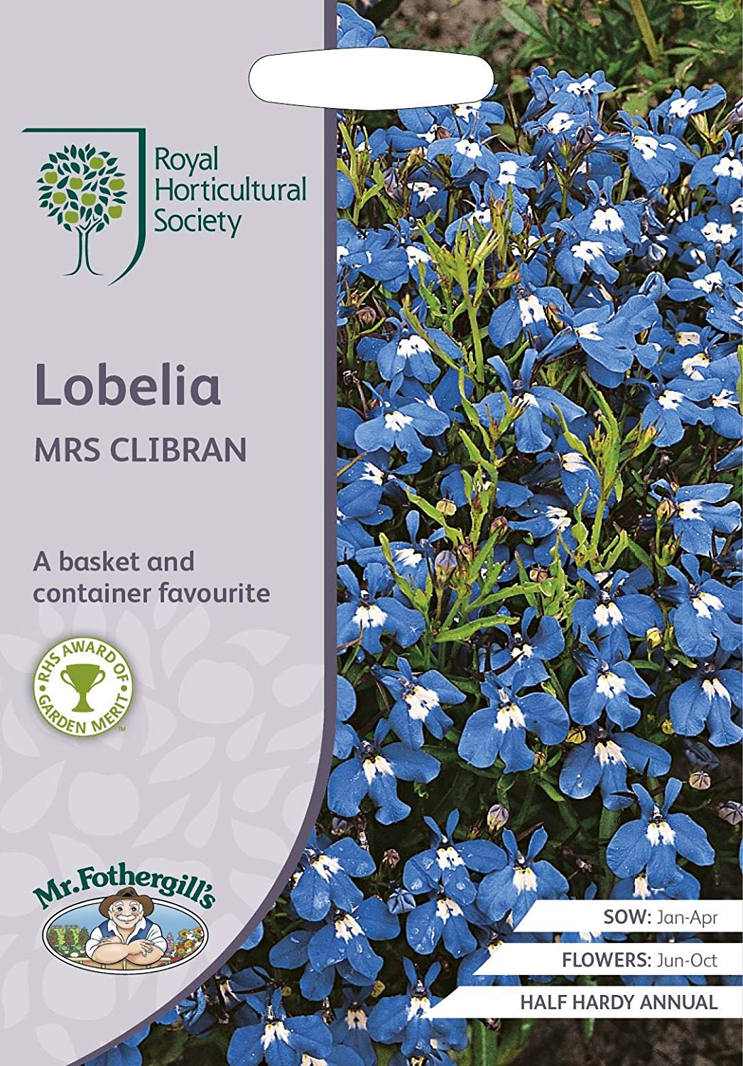 lobelia mrs clibran