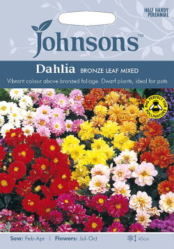 輸入種子 Johnsons Seeds Dahlia Bronze Leaf Mixed ダリア ブロンズリーフ ミックス ジョンソンズシード
