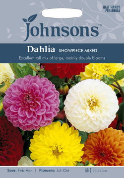輸入種子 Johnsons Seeds Dahlia Showpiece Mixed ダリア ショーピース ミックス ジョンソンズシード Ivy