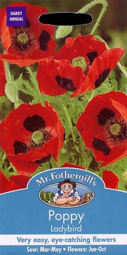 輸入種子 Mr Fothergill S Seeds Papaver Rhoeas Poppy Ladybird ポピー レディ バード ミスター フォザーギルズシード Ivy
