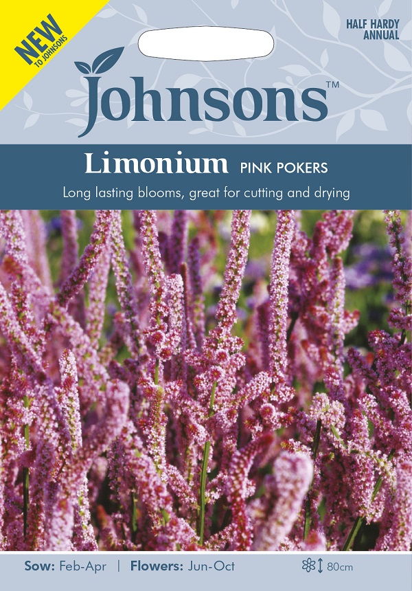 Limonium PINK POKERS リモニューム ピンク･ポーカーズ