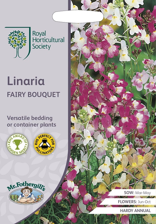 linaria fairy bouquet