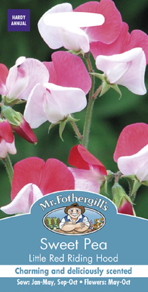 スイートピー リトル・レッド・ライディング・フード