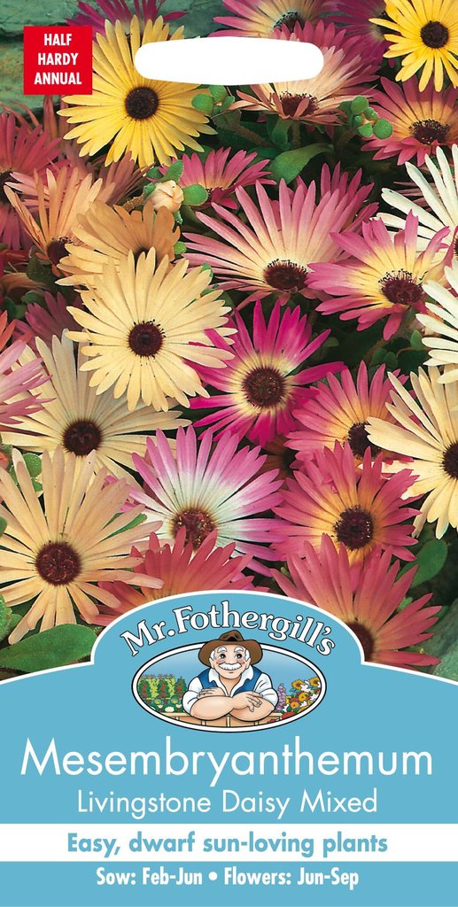 メセンブリアンセマム リビングストン・デージー・ミックス