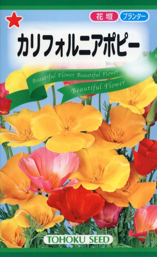 カリフォルニアポピー