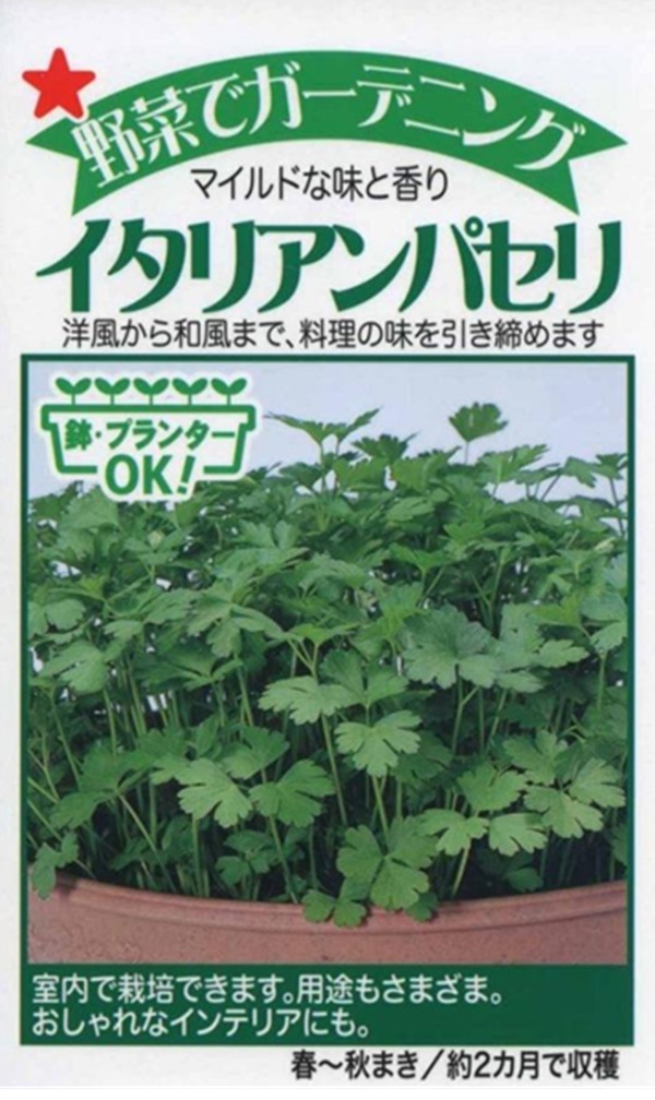 イタリアンパセリ